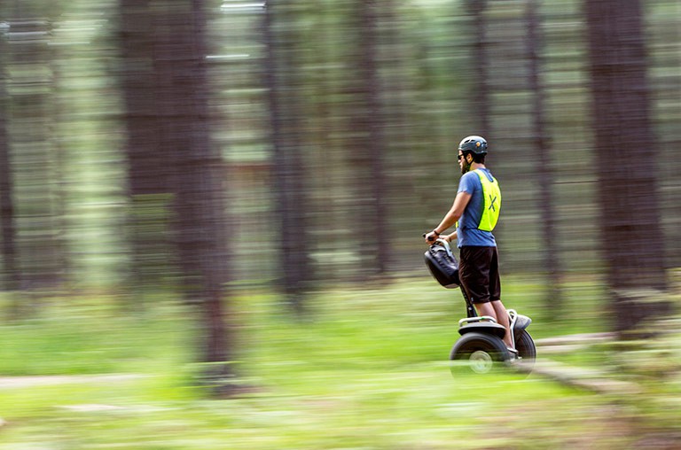 Take a Segway tour through pine plantations and indigenous forest.