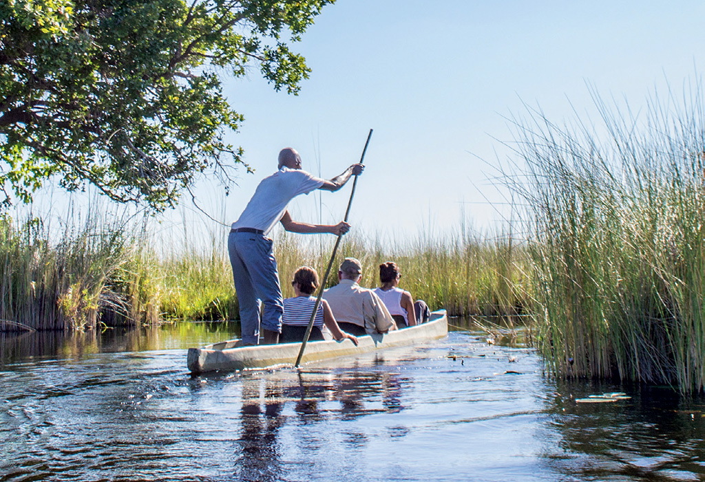 The Mokoro trips into the delta are a great way of getting to grips with the channels and spotting wildlife hiding in the papyrus.