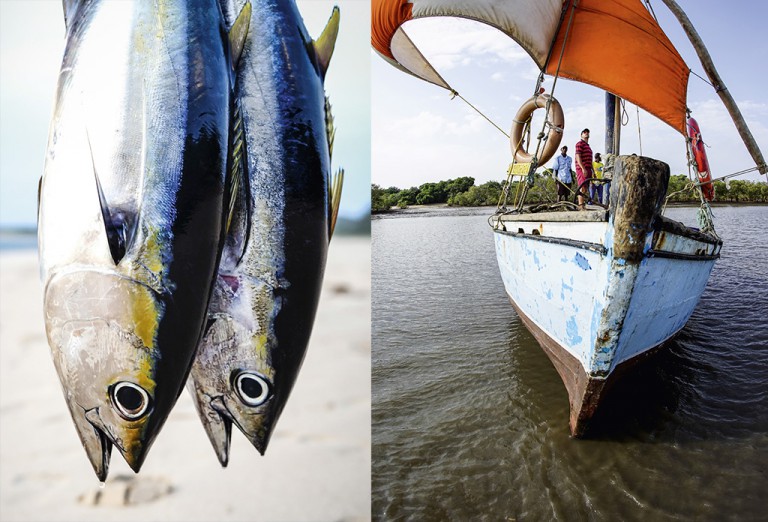 LEFT The bounty of the ocean, fresh from the boat to dinner tables. RIGHT Colourful dhows dot the mangrove mudflats at Santa Maria and can easily chartered for a day of fishing or sailing.