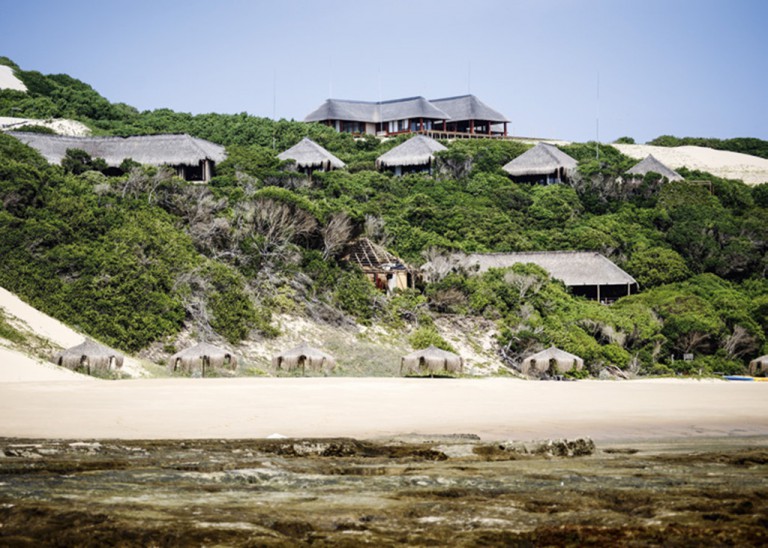 Machangulu Beach Lodge nestles in the dune forests. Photo by Jacques Marais.