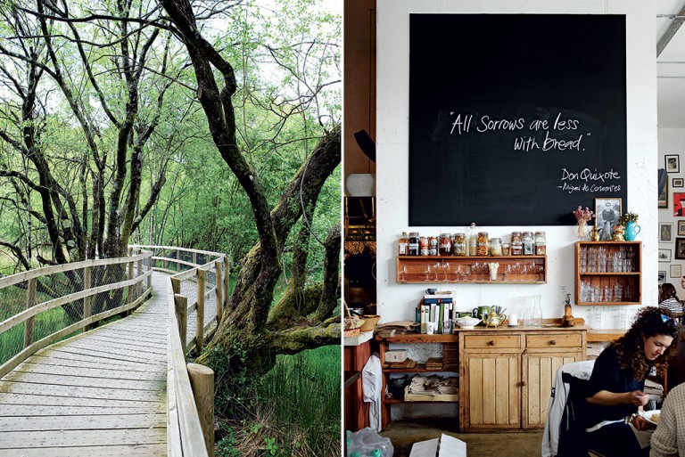 A beautiful boardwalk in Glendalough in County Wicklow - a wonderful antidote to the busy streets of Dublin; the Fumbally serves good food and coffee. Photos by Elsa Young. 