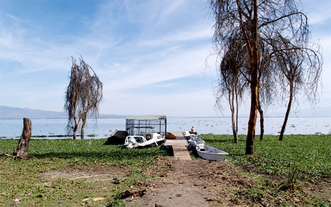 Lake Naivasha. Image by Harriet Constable.