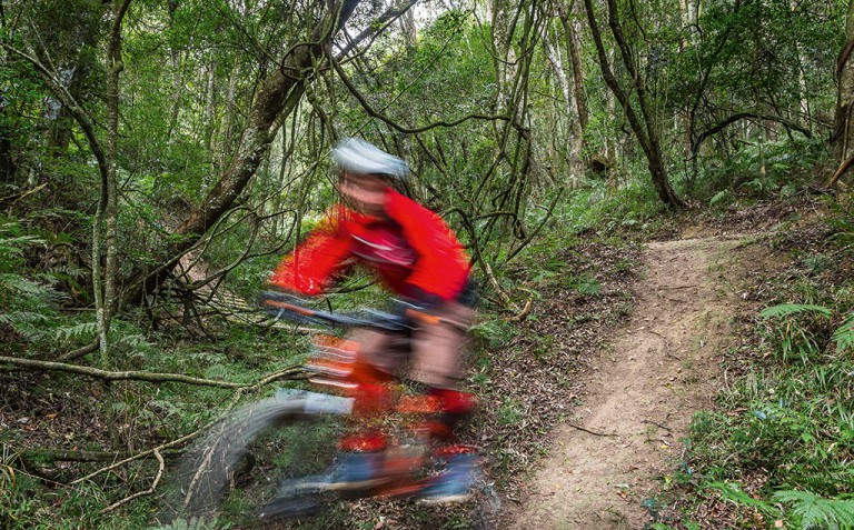Mountain bike trails - Ingeli - A sublime stretch of handcrafted single-track