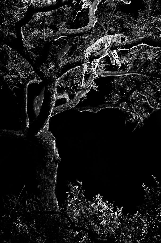 Black and White Phototips by Heinrich van den Berg