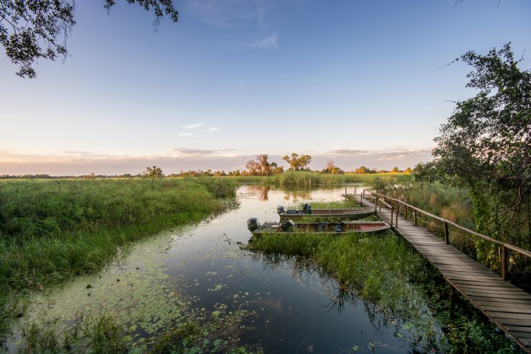 This spot is in the heart of tiger territory and you can only get here by boat - an incredible Okavango Delta Island. 