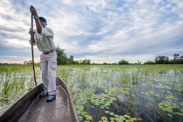 Local knowledge on the Okavango Delta waterways is essential. Guides know the best and most productive fishing spots. 