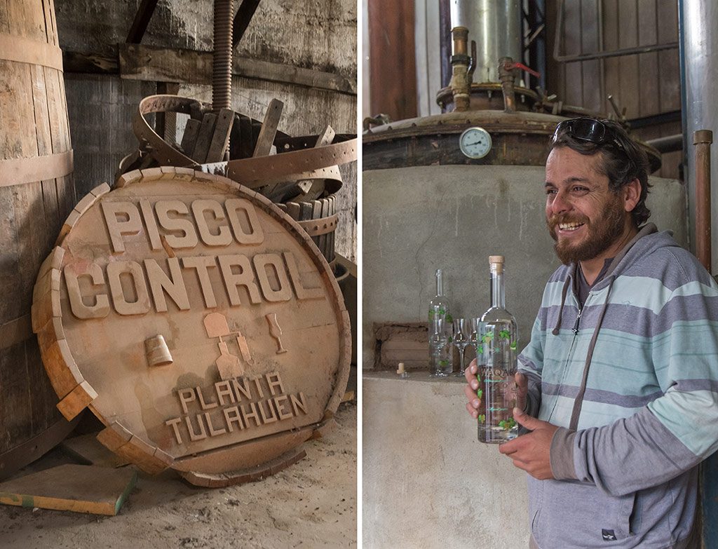 There's an unhurried feel around the distillery. Master distiller Jaime Camposano sits beneath his two remaining alambique (stills), listening to Pink Floyd and slowly feeding their fires with the 10000kg of wood required to make a 1200-litre batch of Pisco Waqar.