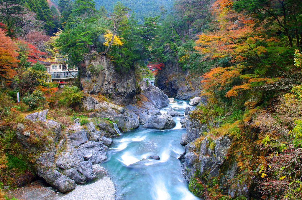 Japan in Autumn by  Kaz Empson.  