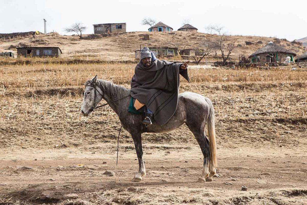 Basotho pony in Lesotho