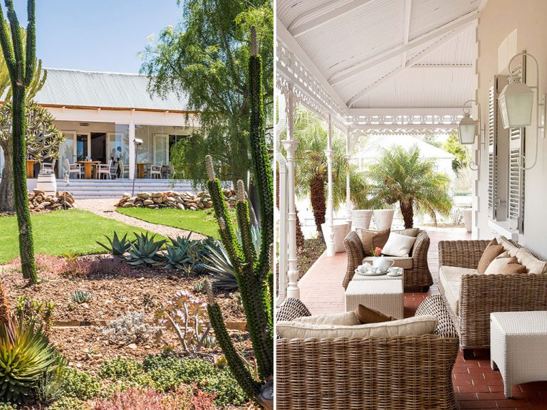 Left, the cactus garden outside Mo and Rose invites an easy wander; right, patio living at The Robertson Small. 