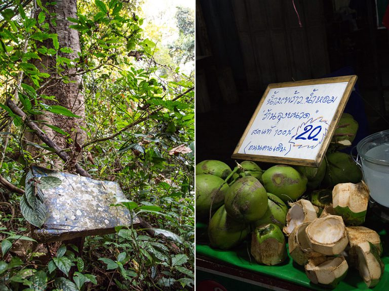 Even if you can read Thai signs, the lichen can still beat you; coconuts are as delicious as they are ubiquitous. 