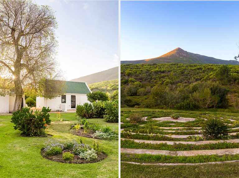 Baboons and horses line the road on the way to Bodhi Khaya, a sustainable yoga, art and spiritual retreat. Surrounded by fynbos and mountains, you'll soon forget about society in favour of being in the present. 