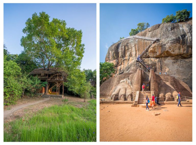 On the left is the beautiful Back of Beyond treehouse, which is close to the Sigiriya Rock. 