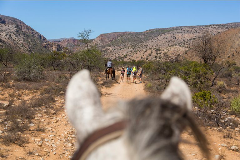 The view from between a horse's ears is said to be one of the best. Here you can see the hikers from my horse, Noodle 