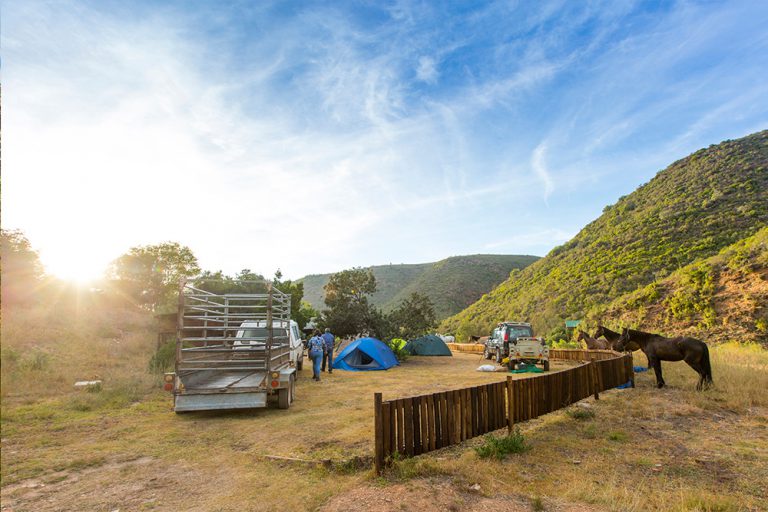 One of my favourite campsites to date, alongside the Kouga river. We shared our best moments of the trail around the campfire that night, emotions swelling from the hikers at their sense of achievement in themselves. 