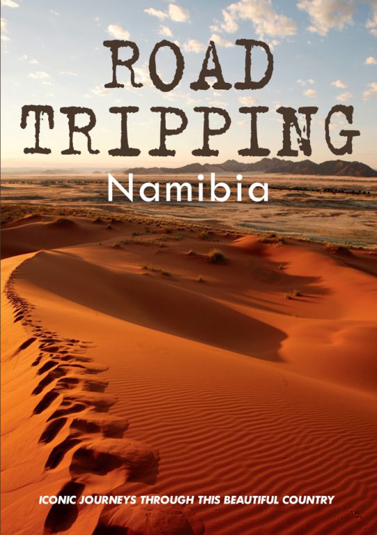 MapStudio Road Tripping Namibia