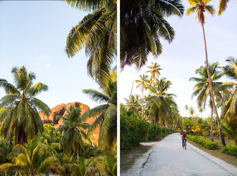 Onwards by ferry to La Digue, an island of bicycles, granite boulders and palms. 