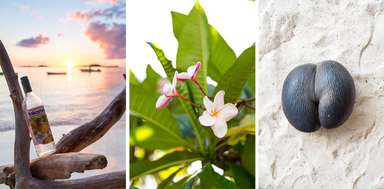 Some of the famous attractions of the Seychelles- Takamaka rum, Frangipani flowers and the Coco de Mer