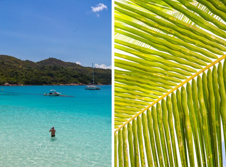 Anse Lazio on Praslin Island is voted one of the top beaches n the world, and it's easy to agree when you're lying underneath palm fronds and watching people swim in transparent waters. 