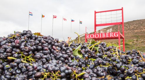 rooiberg winery