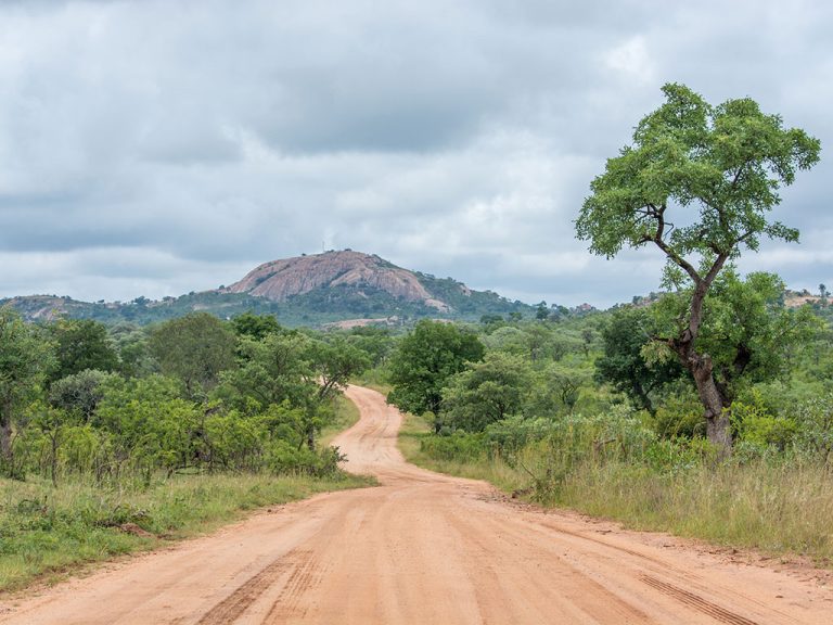 Remains found in Kruger National Park believed to be missing ranger