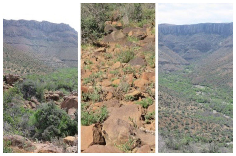 Some examples of the type of terrain the rangers were tracking the escaped lion in. Image: SANParks.