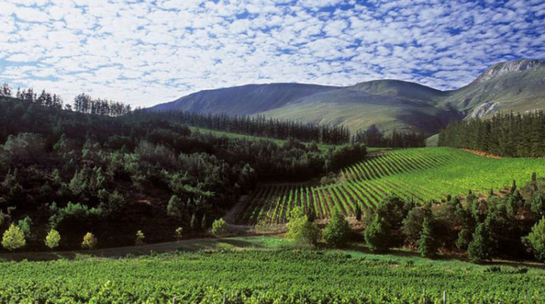 south africa wine regions