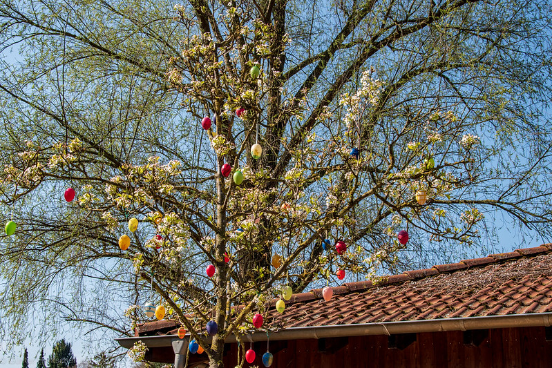 Ostereierbaum Easter Germany 