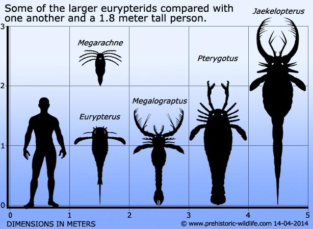 Giant sea scorpions ruled the prehistoric ocean floor