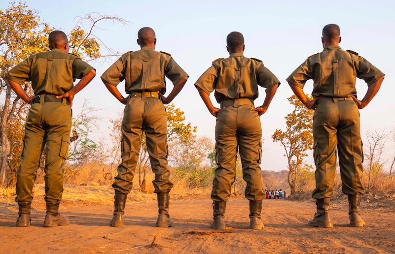 Akashinga: All-female unit combating elephant poaching in Zimbabwe