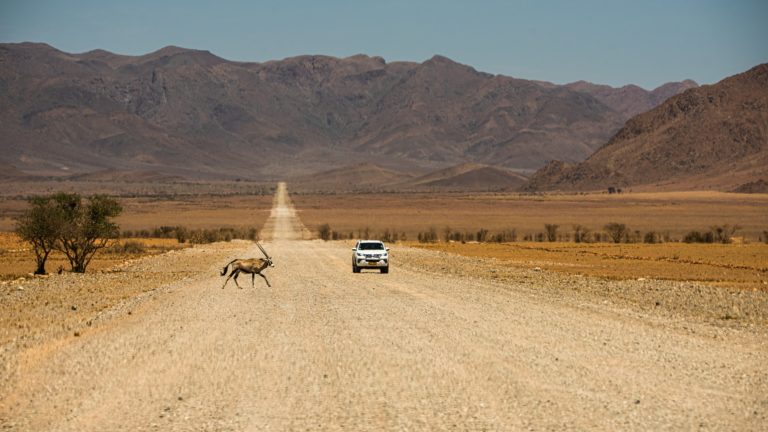 Namibia to reopen borders on September 1
