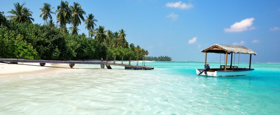 Escape from it all as a 'barefoot bookseller' in the Maldives