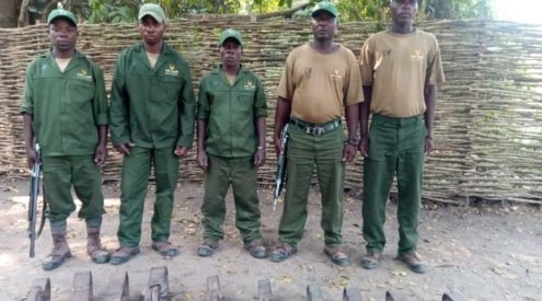 Anti-poaching team intercept 10 gin traps in Mozambique