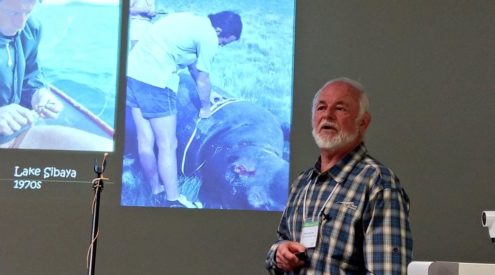 Cape marine biologist awarded prestigious Marloth Medal