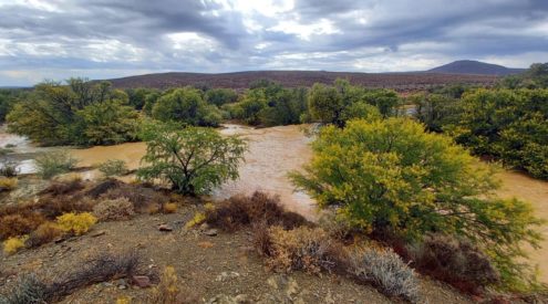Karoo welcomes 'most rain in years'