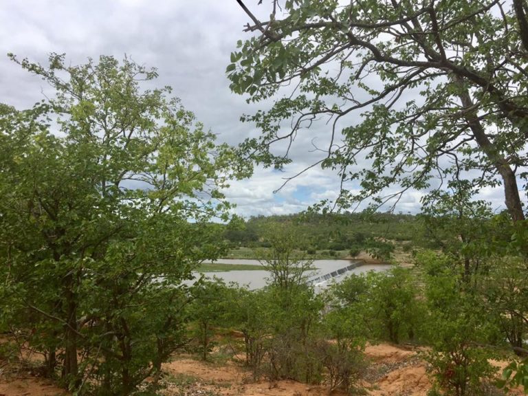 Kruger National Park to demolish Mingerhout Dam