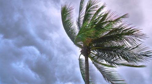 KNP on high alert as Tropical Storm Eloise nears Mozambique