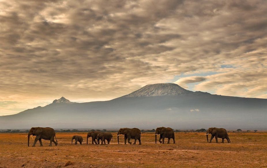 Increasing land use could turn Mount Kilimanjaro into an ecological island