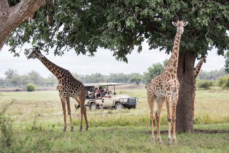 Two new silent safari camps in Zambia
