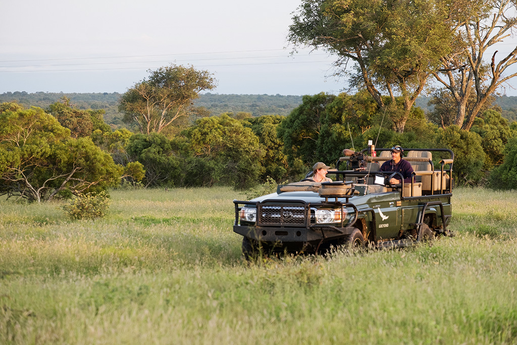 safari live guides leaving