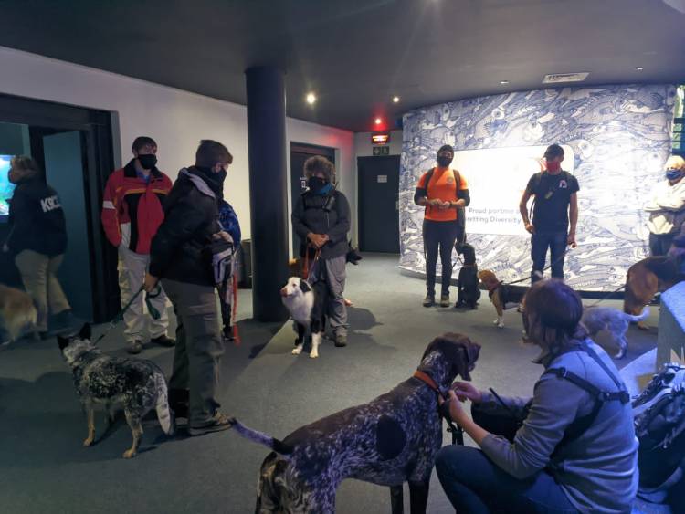Aquarium hosts K9SARA search and rescue dog training