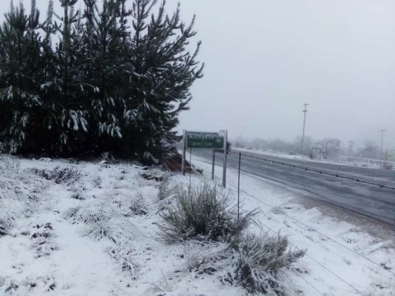 Chutes de neige dans les provinces du Cap