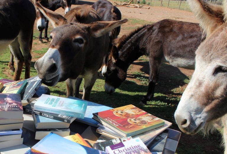 Eseltjiesrus Donkey Sanctuary annual Big Bookfair returns