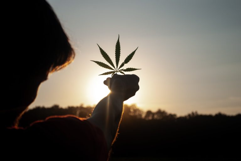 Thailand becomes first Asian country to decriminalise cannabis