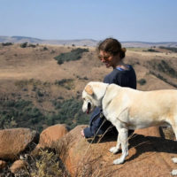 Pet-friendly destinations in the Drakensberg and Midlands