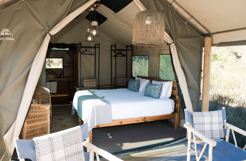 Gondwana Private Game Reserve to relaunch tented Eco Camp
