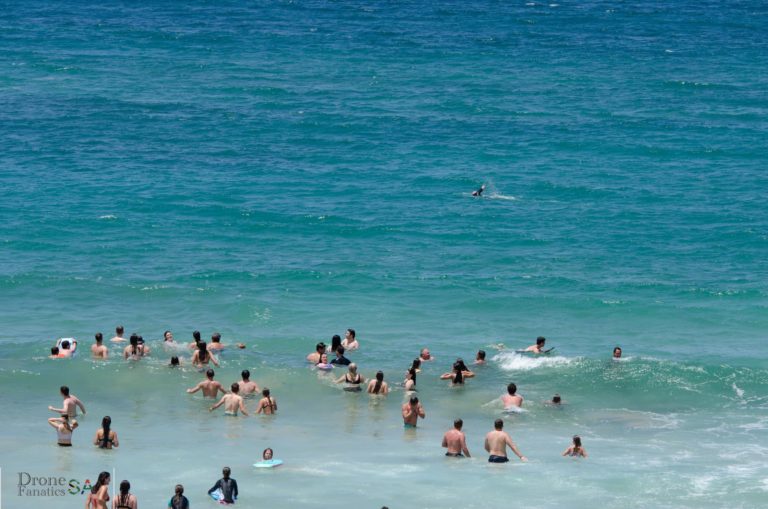 Beachgoers seen swimming in Mossel Bay despite shark sighting