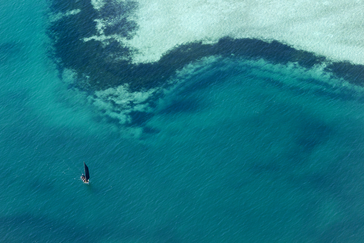 New High Seas Treaty aims to protect 30% of oceans by 2030,
following historic agreement