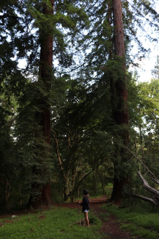 Tripper à Hogsback