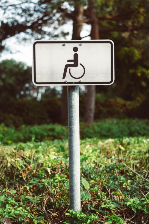 accessible disabled traveller